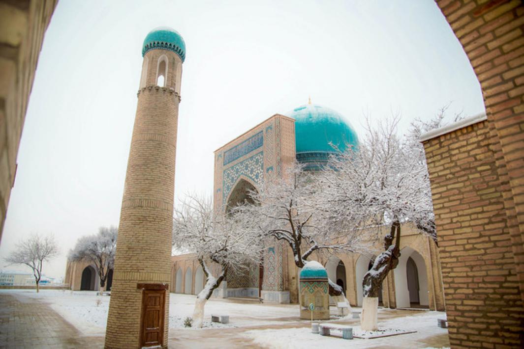 Узбекистан планирует отменить визы для граждан еще 22 стран