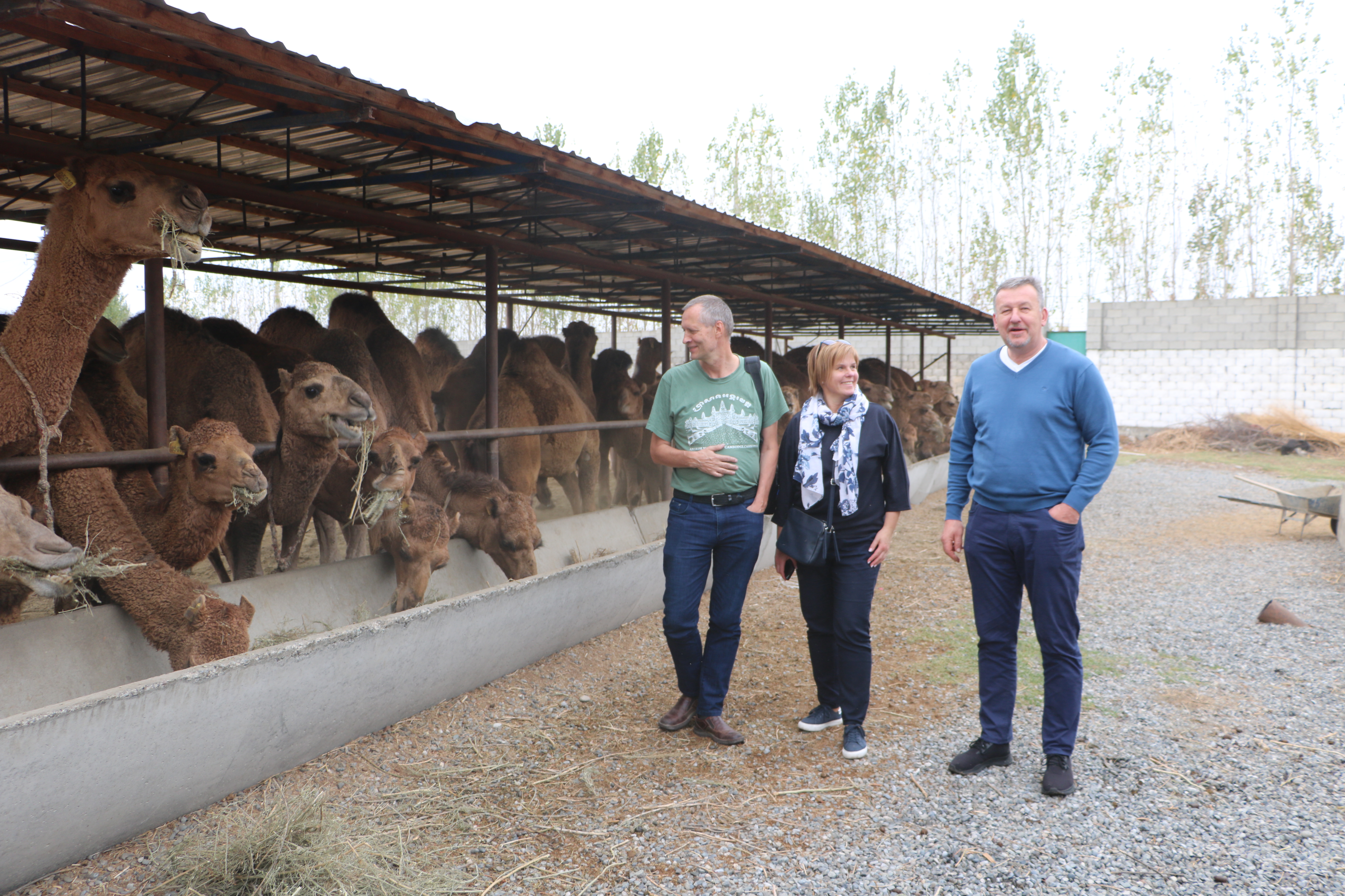 Визит 2.JPG (7.37 MB)